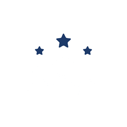 Tailored IT Solutions